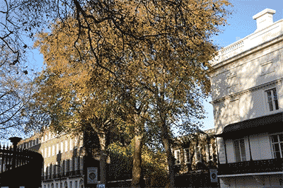 去格林威治大學留學，優勢竟然這么多