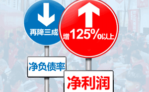 凈資產(chǎn)負(fù)債率計(jì)算公式