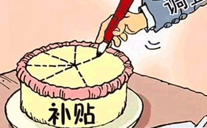 補貼收入在會計報表中如何設置