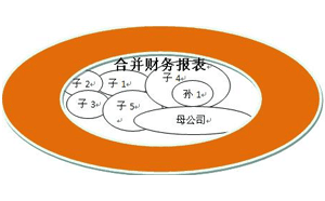 合并財務(wù)報表