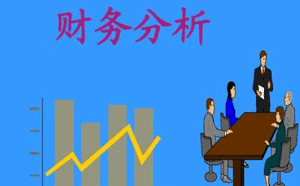 財(cái)務(wù)報(bào)表分析