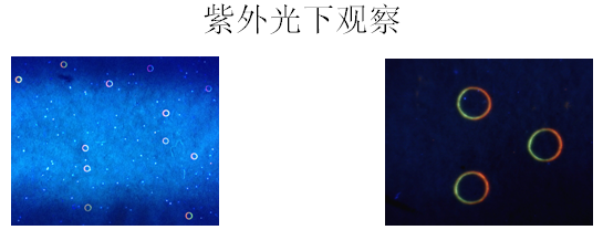 增值稅專用發票辨別真偽