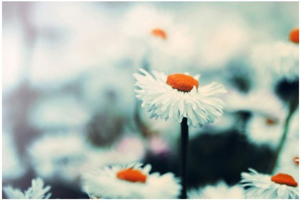 石油與天然氣工程好就業嗎