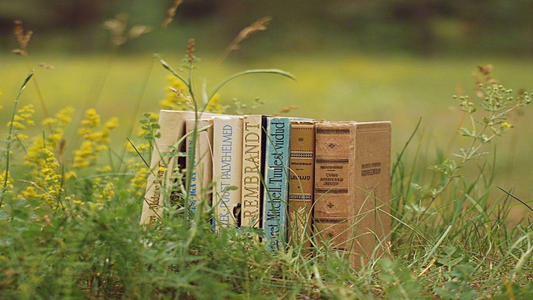 輕化工專業從事什么工作好