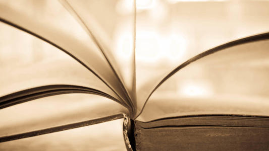 社會工作專業碩士專業方向