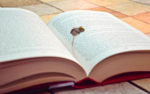 北京理工大學有專科生嗎