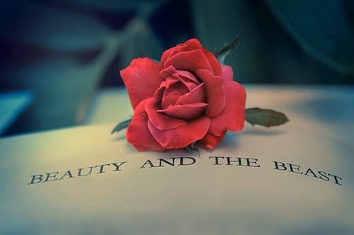 本科交通運(yùn)輸類專業(yè)包括哪些專業(yè)