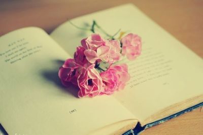 哲學博士包括哪些專業