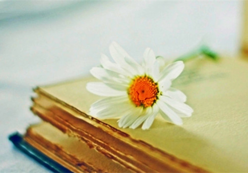 北京郵電大學mba怎么樣