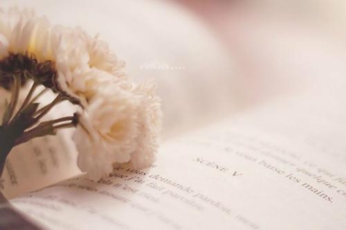 南京專升本學費多少錢