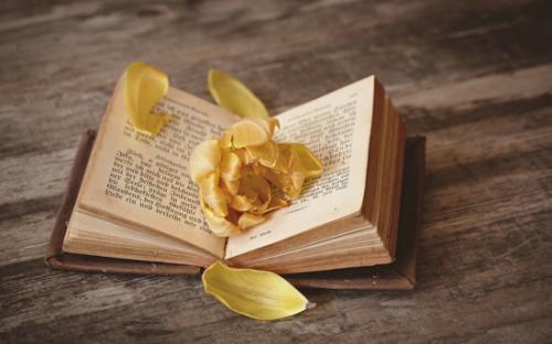 公共管理研究生可以考什么崗位公務員